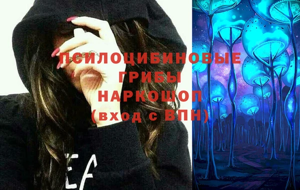 стаф Богданович